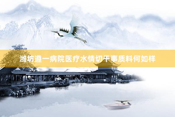潍坊遵一病院医疗水情切干事质料何如样